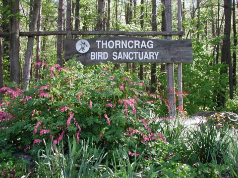 thorncrag entrance