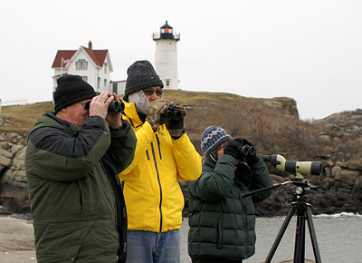 Bird watching at Nubble Light in winter