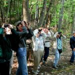 people with binoculars looking into the trees