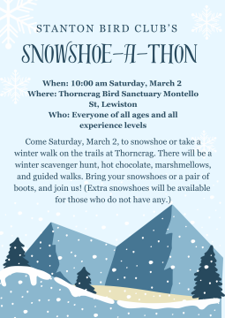Snowshoe-a-thon, March 2
